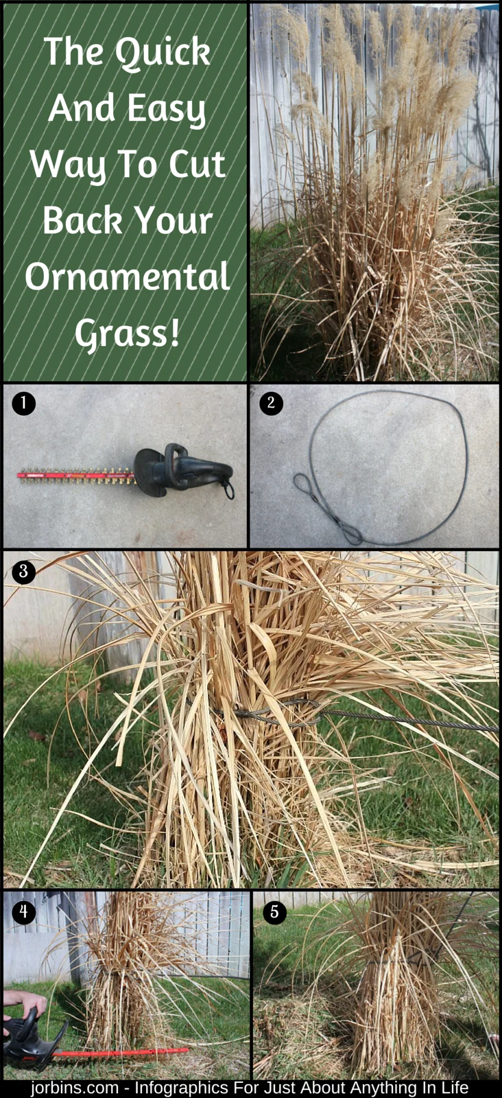 Is it time to cut back your ornamental grass? Here is a quick and easy way to do it in less than a minute.