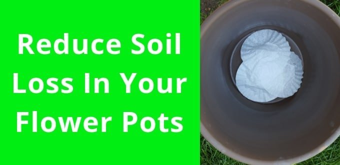 Reduce Soil Loss In Your Flower Pots With Coffee Filters